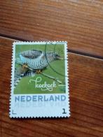 Koekoek, Ophalen of Verzenden