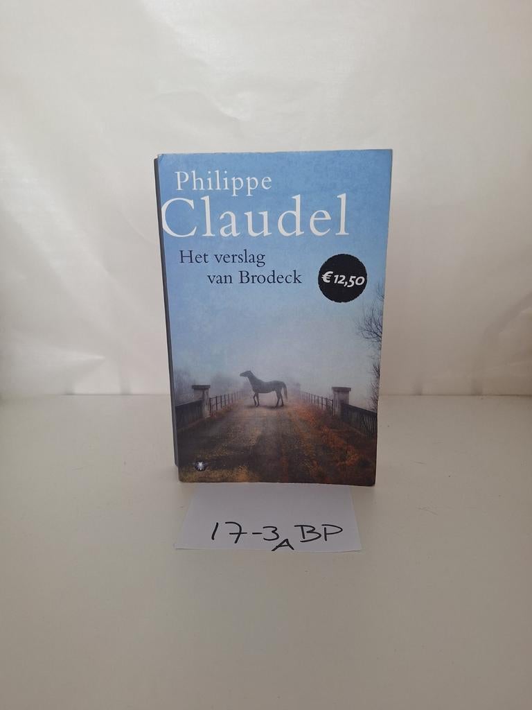 Het verslag van Brodeck - Philippe Claudel, Ophalen of Verzenden, Gelezen, Philippe Claudel, Europa overig