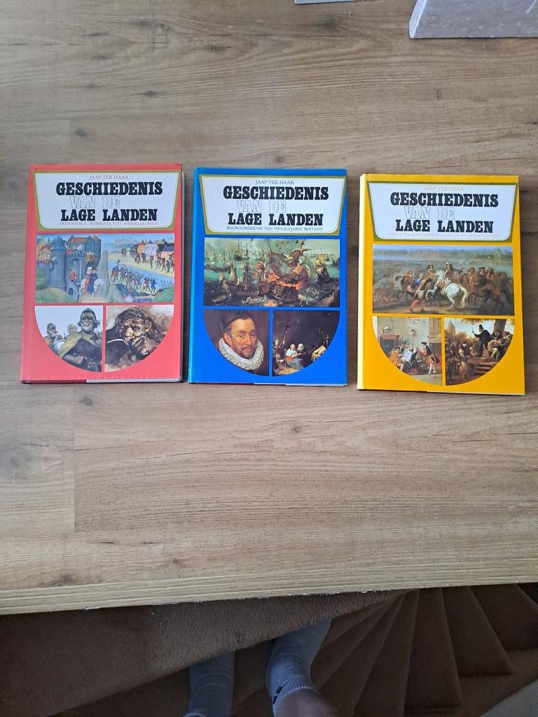 Geschiedenis van de Lage Landen - 3-delige serie, Boeken, Ophalen of Verzenden, 20e eeuw of later, Zo goed als nieuw, Jaap ter Haar