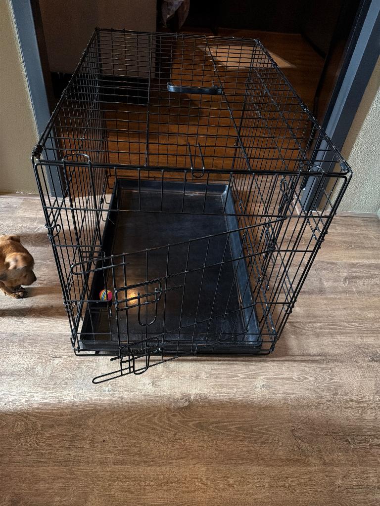 Honden benches, Ophalen, Zo goed als nieuw