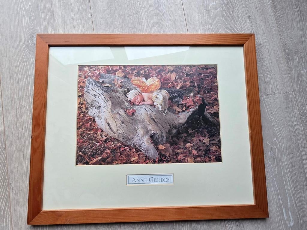 Anne Geddes fotolijst "woodland Fairy" (bosfee), Ophalen of Verzenden