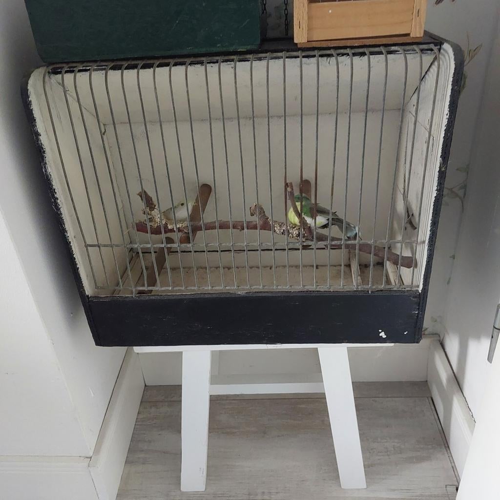 Brocante vogelkooi ., Dieren en Toebehoren, Vogels | Hokken en Kooien, Ophalen, Vogelkooi