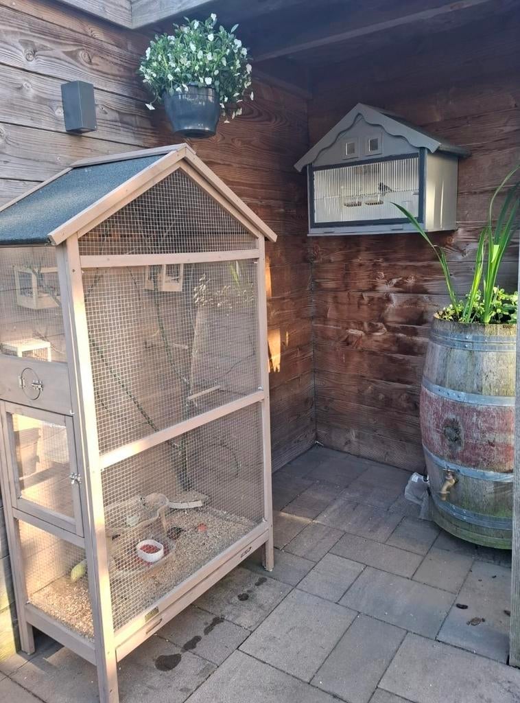 Mooie vogelkooi., Ophalen of Verzenden, Zo goed als nieuw, Hout, Vogelkooi