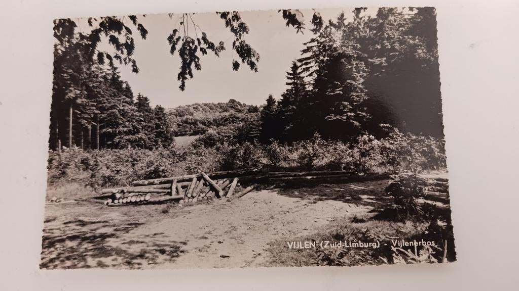 Ansichtkaart Vijlen (Zuid-Limburg) - Vijlenerbos, Ophalen of Verzenden, Limburg