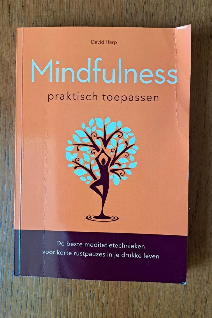 Mindfulness, Ophalen of Verzenden, Gelezen, Spiritualiteit algemeen, Overige typen