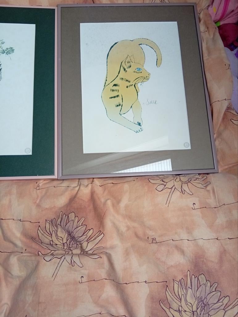 Andy Warhol Katten Lithografie Collectie - 2 Stuks, Antiek en Kunst, Kunst | Litho's en Zeefdrukken, Ophalen of Verzenden