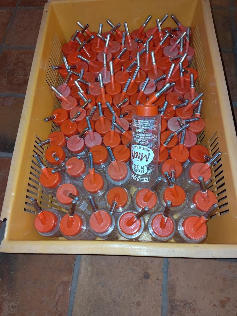 Drinkfles midi 320 ml cavia konijn rat, Ophalen, Gebruikt, Overige typen