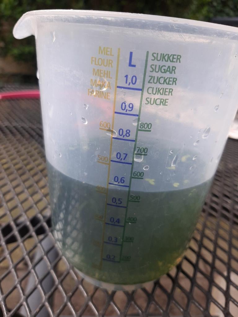 Levermos, Ophalen, Plant(en), Steen of Hout