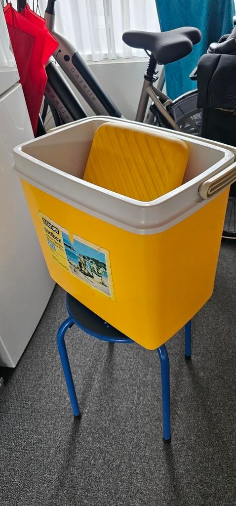 Degelijke ouderwetse koelbox icl koelelementen, Ophalen