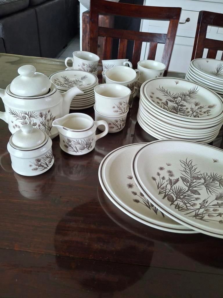 Vintage Servies Pinewood met Dennenprint - Compleet Set, Ophalen, Porselein, Overige stijlen