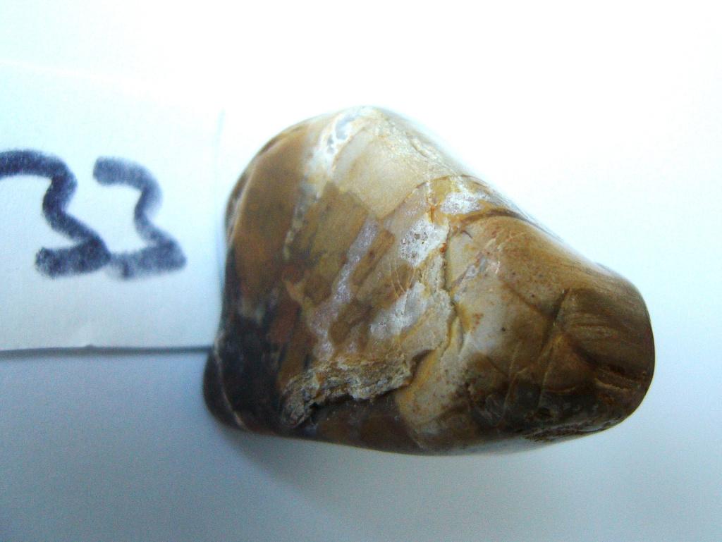versteend hout brok of trommelsteen petrified wood 33 gram, Ophalen of Verzenden, Mineraal