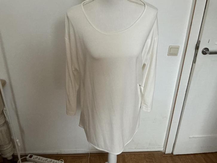 Didi lang shirt L, Kleding | Dames, Tops, Zo goed als nieuw, Maat 42/44 (L), Beige, Lange mouw, Ophalen of Verzenden