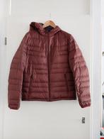 Hugo Boss donsjas - Maat 48 / L, Maat 52/54 (L), Bruin, Ophalen of Verzenden, Hugo Boss