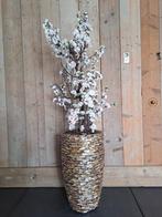 NIEUWE Schelpenvaas 60 cm inclusief Bloesemboom nu 140,00, Ophalen, Nieuw