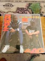 Hip Hop LPs 2, Ophalen of Verzenden, 2000 tot heden, Zo goed als nieuw, 12 inch