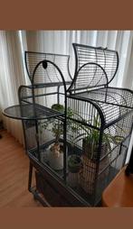 Bijna nieuwe kooi met veel extra en NIEUW.  START PAKKET.., Dieren en Toebehoren, Overige Dieren-accessoires, Ophalen, Zo goed als nieuw