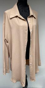 Superleuke beige blouse let op rug! MADE IN ITALY 48/50, Kleding | Dames, Ophalen of Verzenden, Zo goed als nieuw, Beige, Blouse of Tuniek
