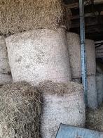 Gezocht ronde baal weidehooi, Dieren en Toebehoren, Ophalen of Verzenden, Vee