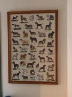 Vintage Hondenrassen Poster in Lijst achter ontspiegeld glas, Ophalen