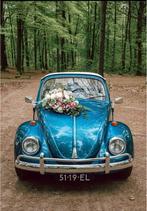 Huur Verhuren Trouwauto Kever Cabriolet Oldtimer Gala, Trouwauto