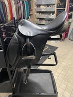 Kingsley, stubben, thorogwood, Ophalen of Verzenden, Gebruikt, Dressuur