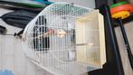 Kleine vogelkooi, Dieren en Toebehoren, Vogels | Hokken en Kooien, Ophalen, Zo goed als nieuw, Vogelkooi