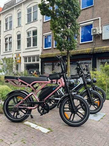 NIEUWSTE FATBIKE V20 PRO ROZE NARDO GREY LUXE MODELLEN V 20 beschikbaar voor biedingen