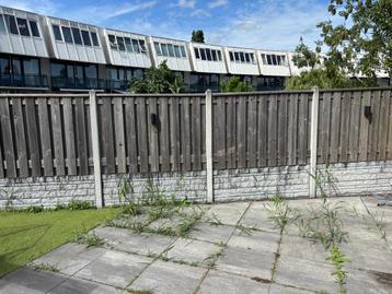 8 betonpalen, poort en 5 betonplaten GRATIS AF TE HALEN beschikbaar voor biedingen