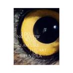 Bill Viola - I Do Not Know What It Is I Am Like, Ophalen of Verzenden, Nieuw, Schilder- en Tekenkunst