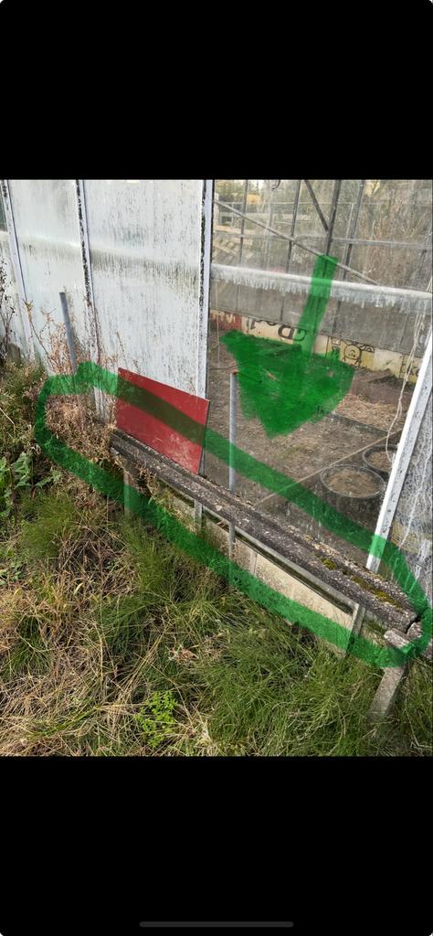 Gratis staanders en liggers voor koude bak / moestuin, Tuin en Terras, Kassen, Gebruikt, Kweekkas, Overige materialen, Glas, Ophalen