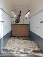 Sulky Trailer rekje Atec trailer