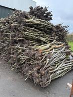 appelhout, Tuin en Terras, 6 m³ of meer, Ophalen, Overige houtsoorten, Stammen