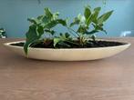 Bloempot 80cm, Steen, Minder dan 30 cm, Ophalen of Verzenden, Zo goed als nieuw