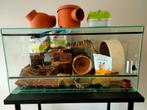 Hamsterscaping / hamsterverblijf / terrarium, Dieren en Toebehoren, Knaagdieren en Konijnen | Hokken en Kooien, Gebruikt, 75 tot 110 cm