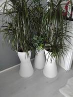 DRIE  witte bloembakken, Tuin en Terras, Bloembakken en Plantenbakken, Ophalen, Tuin, Kunststof, Gebruikt