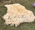 Witte schapenwol, Hobby en Vrije tijd, Spinnewielen en Spinnen, Ophalen, Spinwol