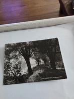 AARLANDERVEEN.  POLDERGEZICHT, Ophalen of Verzenden