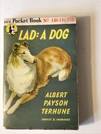 LAD  A DOG by Albert Payton Terhune, Gelezen, Honden, Ophalen of Verzenden
