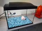 Aquarium 36 cm, Dieren en Toebehoren, Ophalen, Zo goed als nieuw, Leeg aquarium