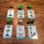 Lego plantjes divers, Ophalen of Verzenden, Gebruikt