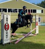 13 jarige c pony merrie !, Merrie, B, C pony (1.27m tot 1.37m), Gechipt