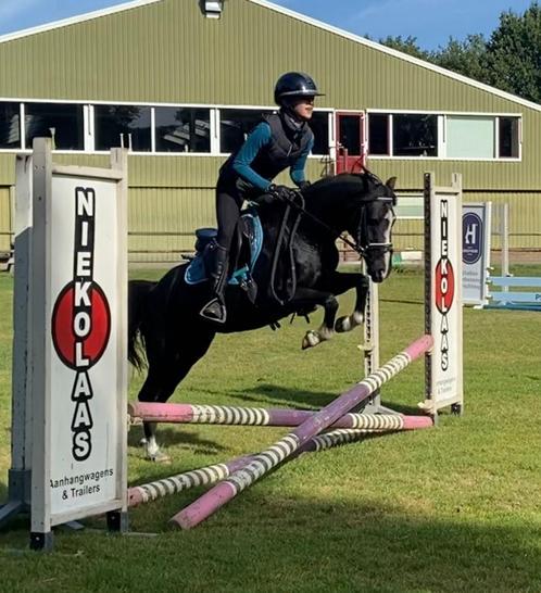 13 jarige c pony merrie !, Dieren en Toebehoren, Pony's, Merrie, B, C pony (1.27m tot 1.37m), Recreatiepony, 11 jaar of ouder