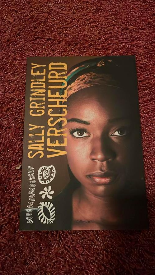 Sally Grindley - Verscheurd, Boeken, Kinderboeken | Jeugd | 13 jaar en ouder, Zo goed als nieuw, Ophalen of Verzenden
