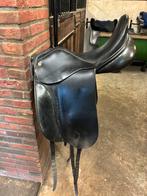 Ainsley vanguard popular, Ophalen, Gebruikt, Dressuur