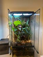 terrarium / paludarium bio actief 45/45/90cm exo terra, Ophalen, Zo goed als nieuw, Terrarium of Paludarium