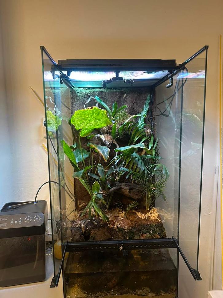 terrarium / paludarium bio actief 45/45/90cm exo terra, Dieren en Toebehoren, Reptielen en Amfibieën | Toebehoren, Zo goed als nieuw
