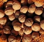 Walnoten, oogst 2025 - Polen, Ophalen of Verzenden