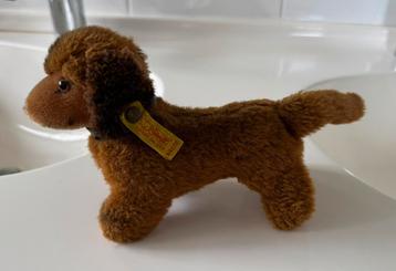 Steiff hond teckel Hexie met oorknop 4142/12 beschikbaar voor biedingen