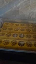 Bevruchte kwartel eitjes, Dieren en Toebehoren, Pluimvee | Toebehoren, Ophalen of Verzenden, Nieuw, Overige typen