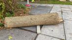 Boomstam eiken hout, Ophalen, Eiken, Overige typen, 200 tot 250 cm